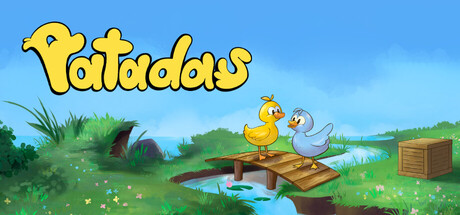 Patadas — Steam header