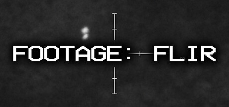 Footage: FLIR