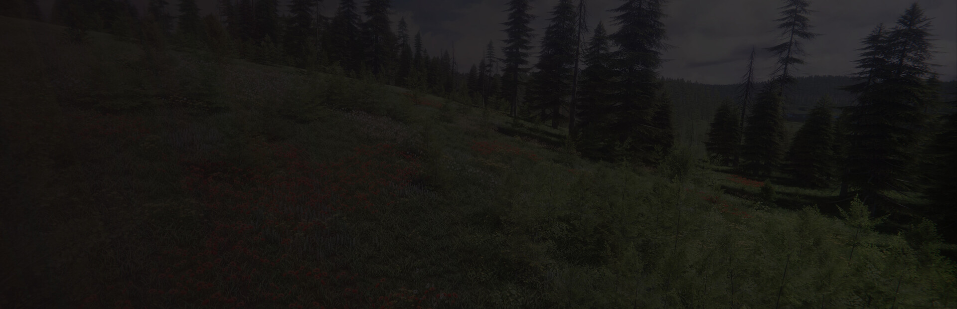 The Blackwood Demo