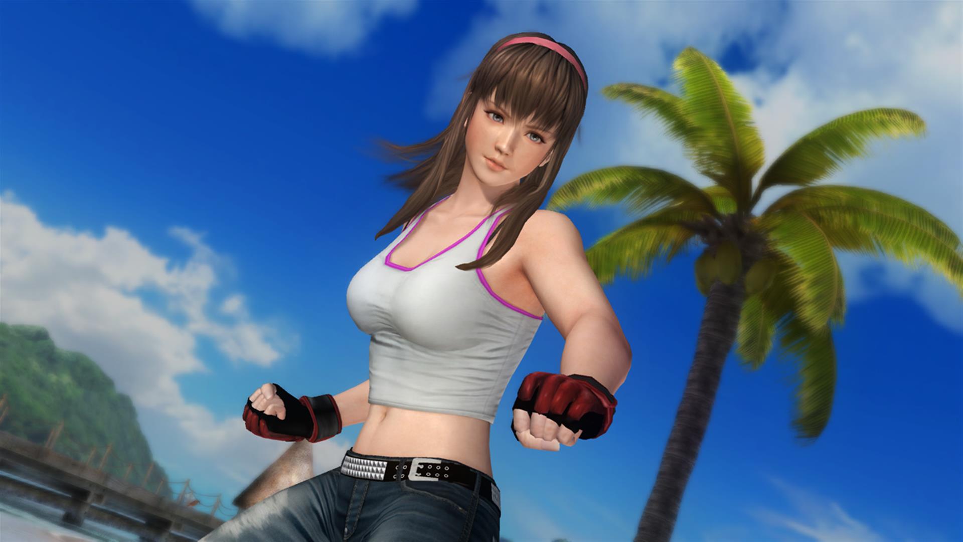 DEAD OR ALIVE 5 Last Round: Core Fighters Character: Hitomi no Steam