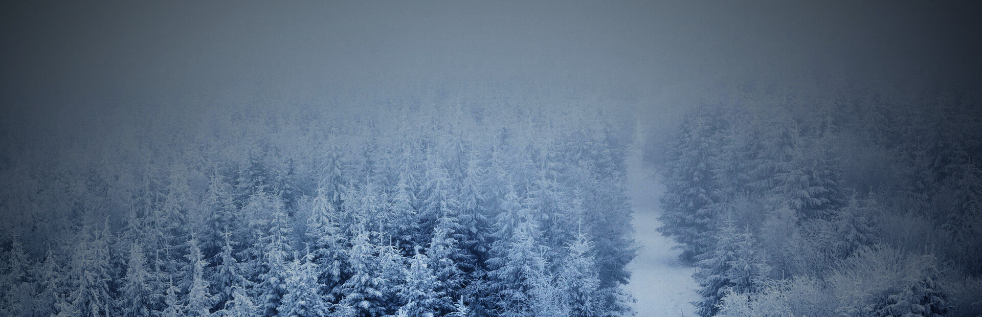 THE WINTER SOLSTICE
