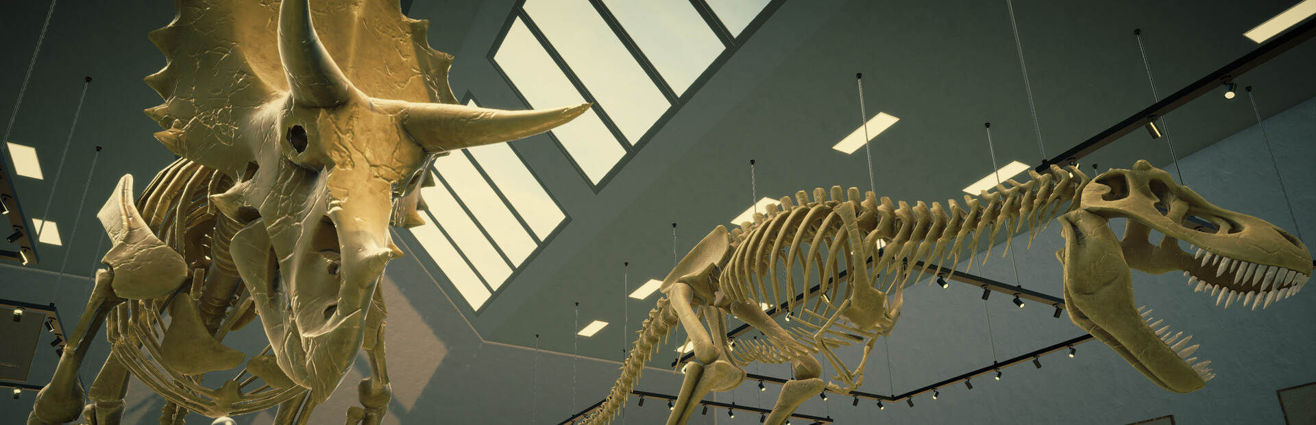 Fossil Digger