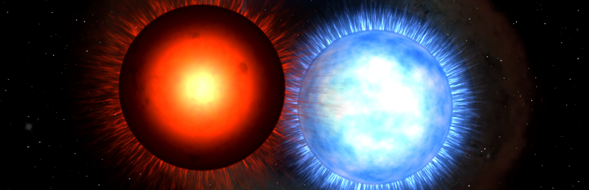 Stellar Forge