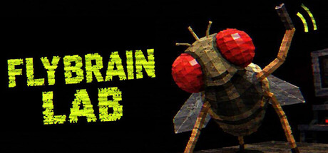 FLYBRAIN LAB — Steam header