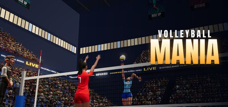 Volleyball Mania