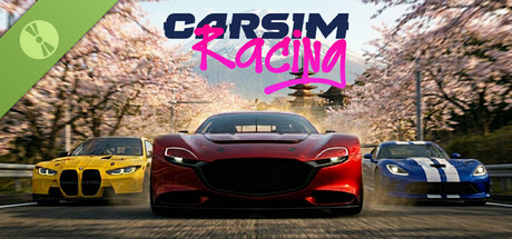 CarSim Racing Demo