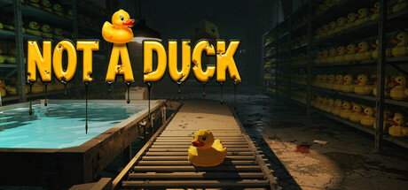 Not a Duck