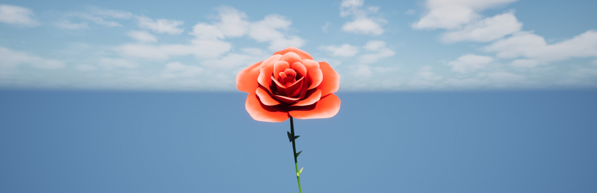 a Flower for you