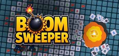 BOOMSWEEPER — Steam header
