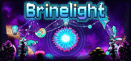 Brinelight — Steam header