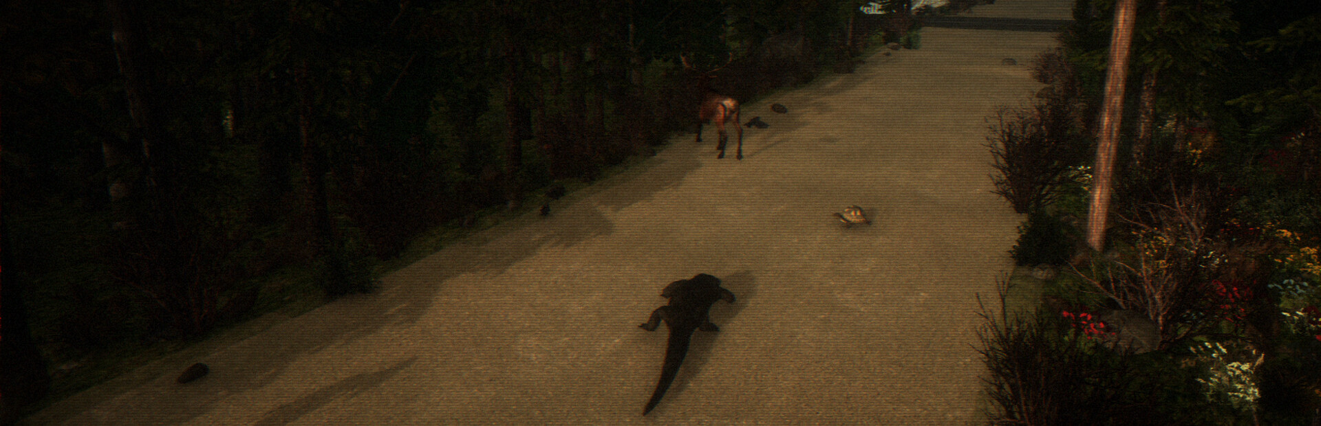 Survive the Squallies: Prologue