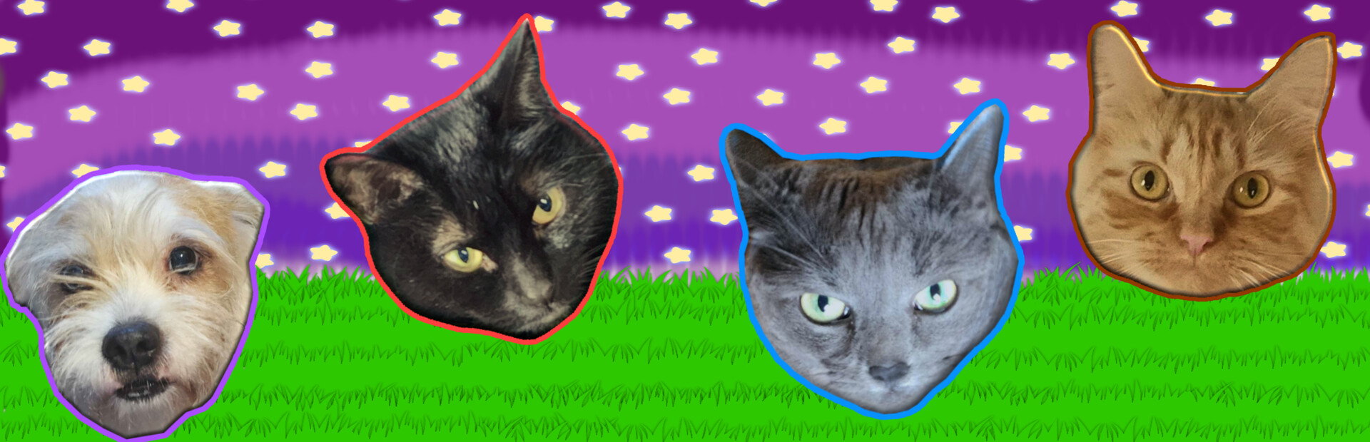 Kitty Cat Match!