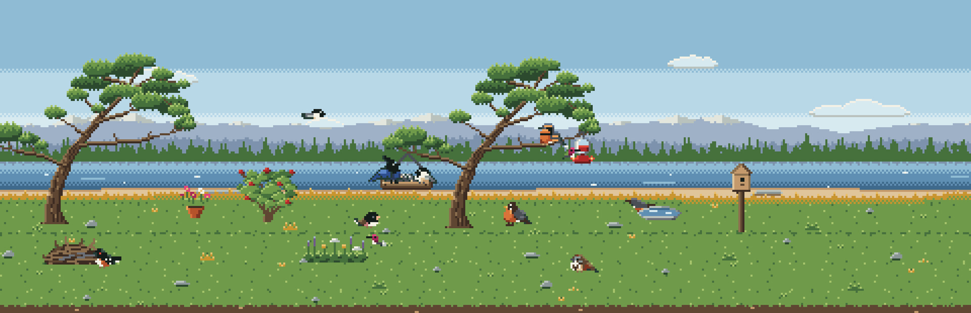 Bird Feeder