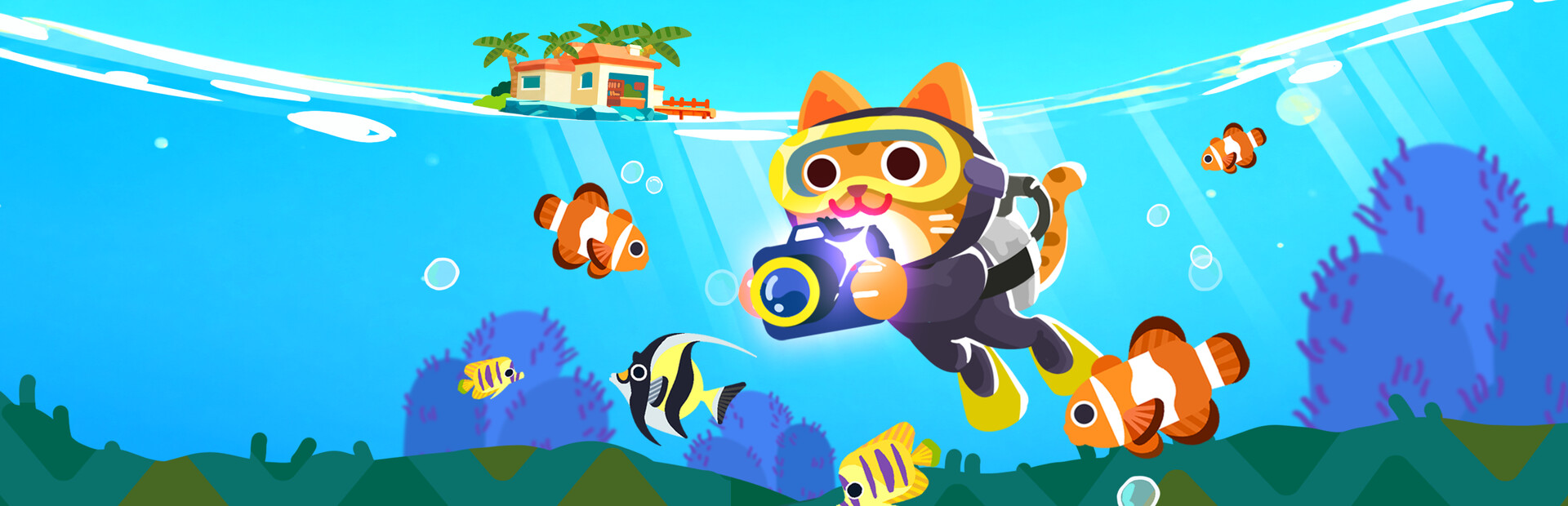 Snapurr: Underwater Cat Photographers