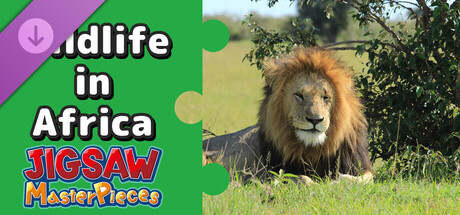 Jigsaw Masterpieces : Wildlife in Africa
