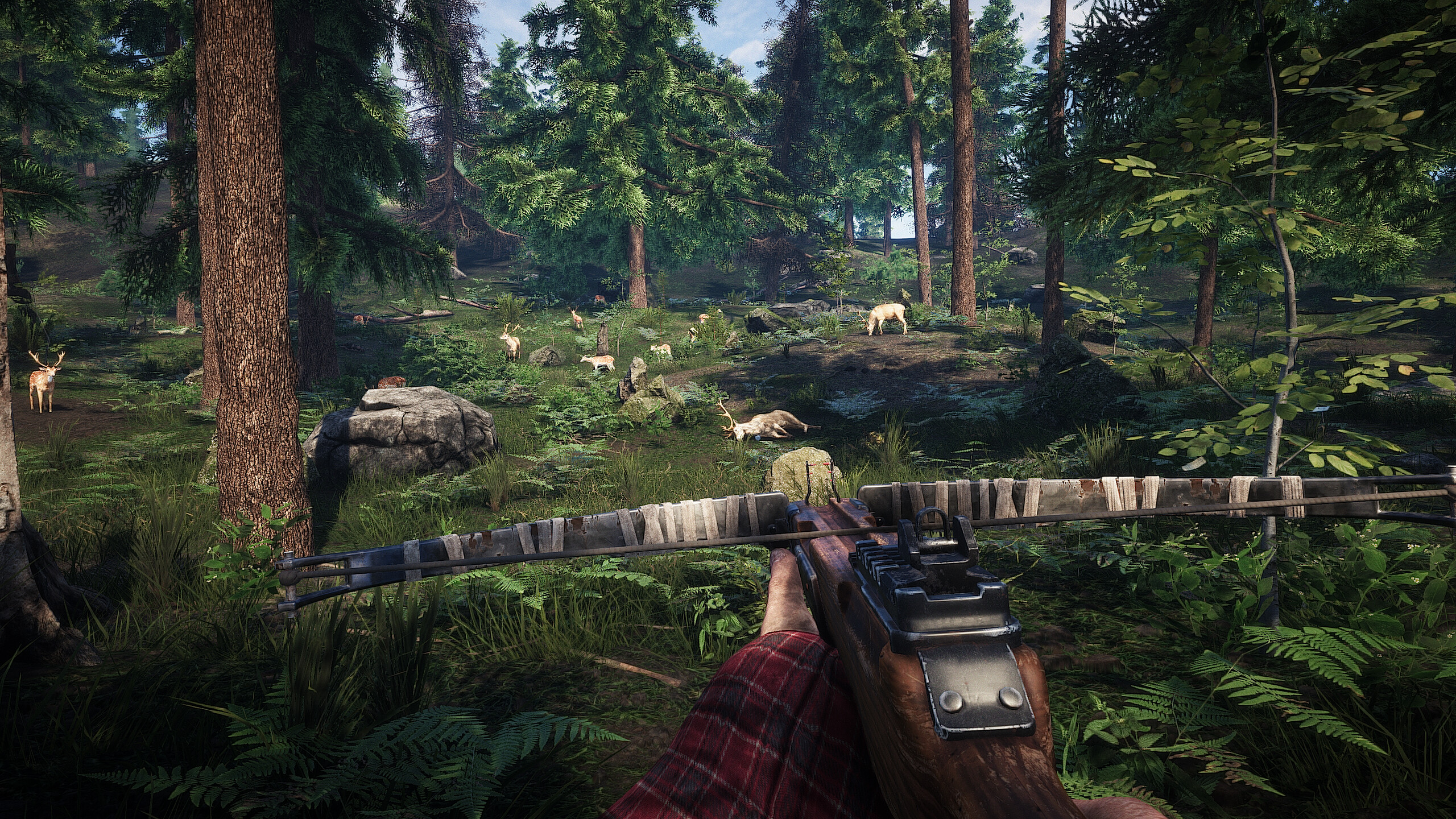 Survive the Nights screenshot 11