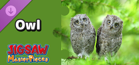 Jigsaw Masterpieces : Owl
