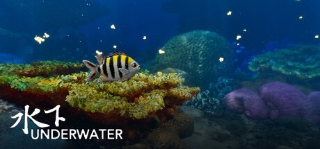 Underwater