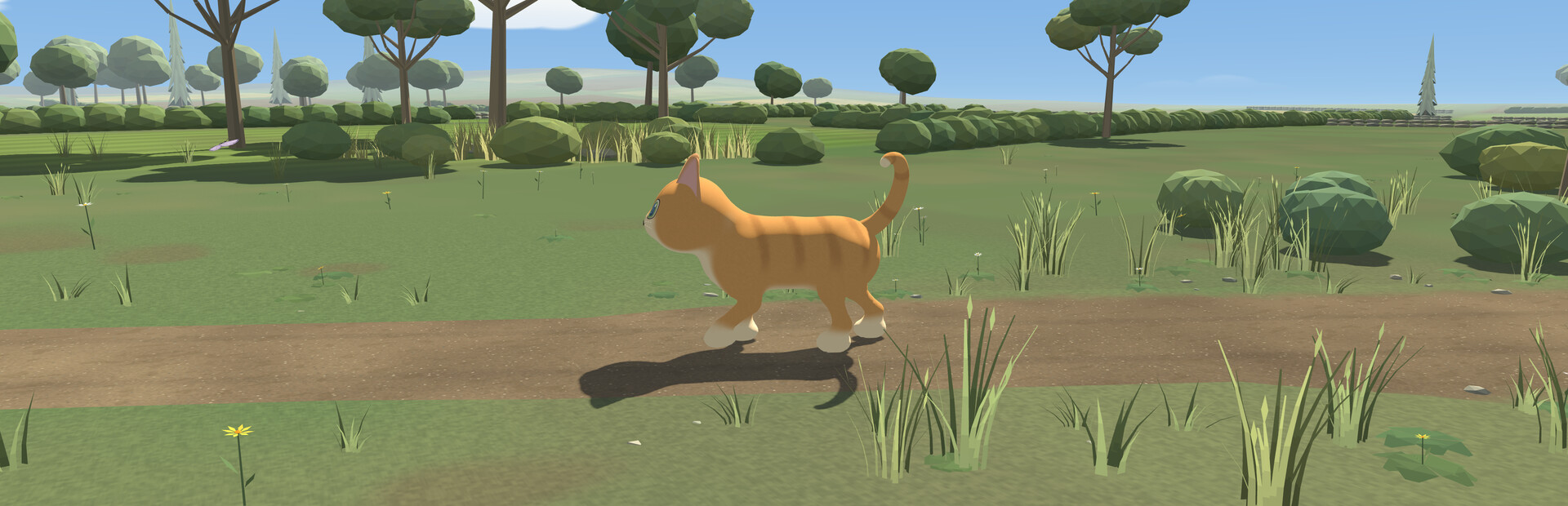 Cat's Endless Stroll