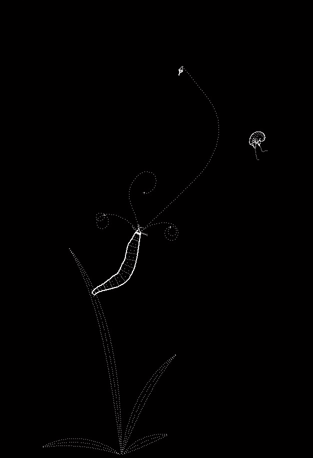 Plankton screenshot 7