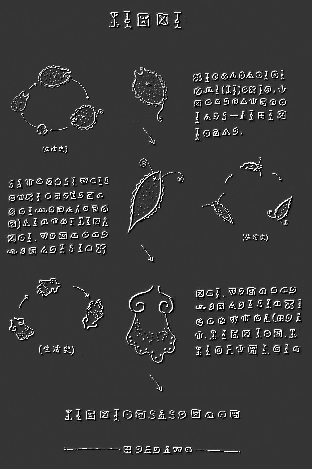 Plankton screenshot 2