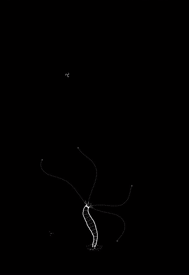 Plankton screenshot 6