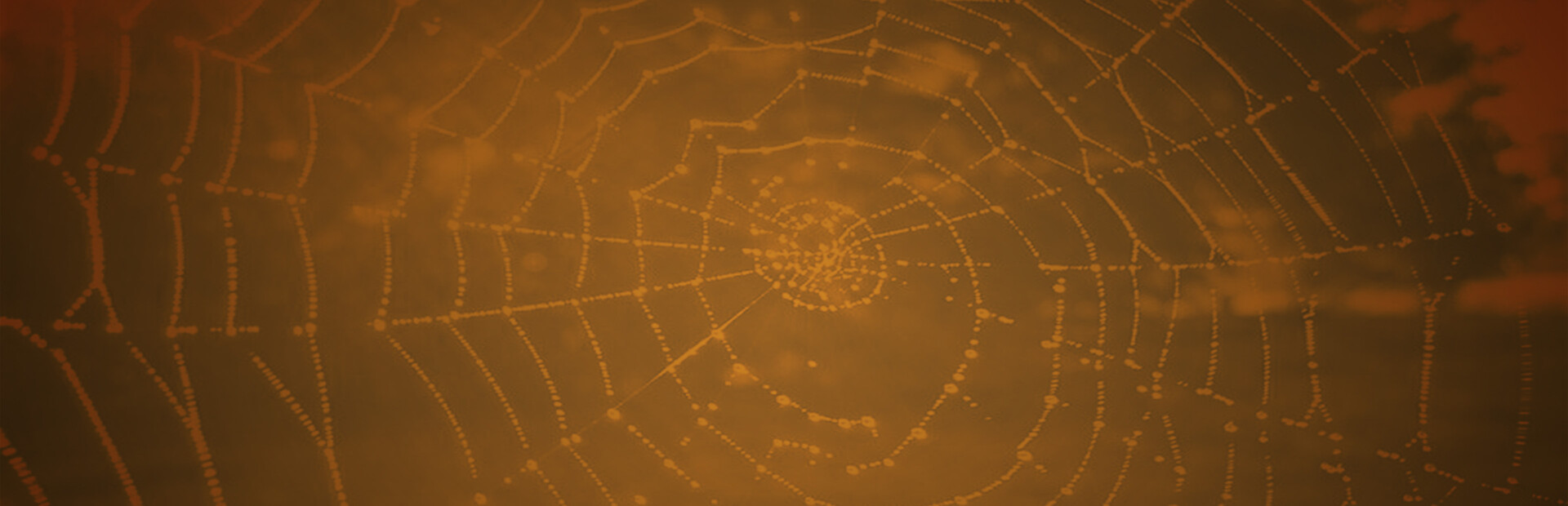 Along Came A Spider