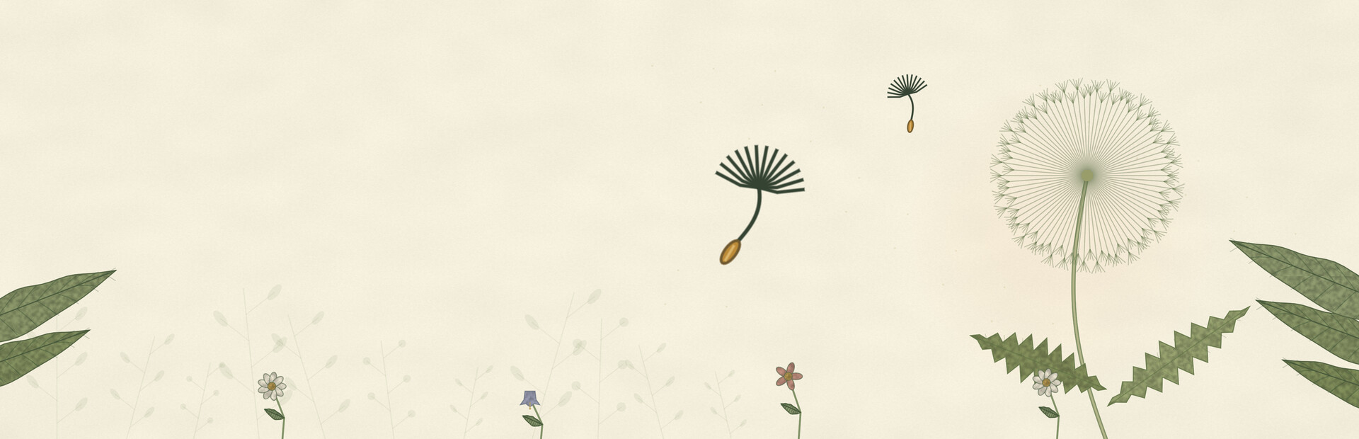 Little Seed