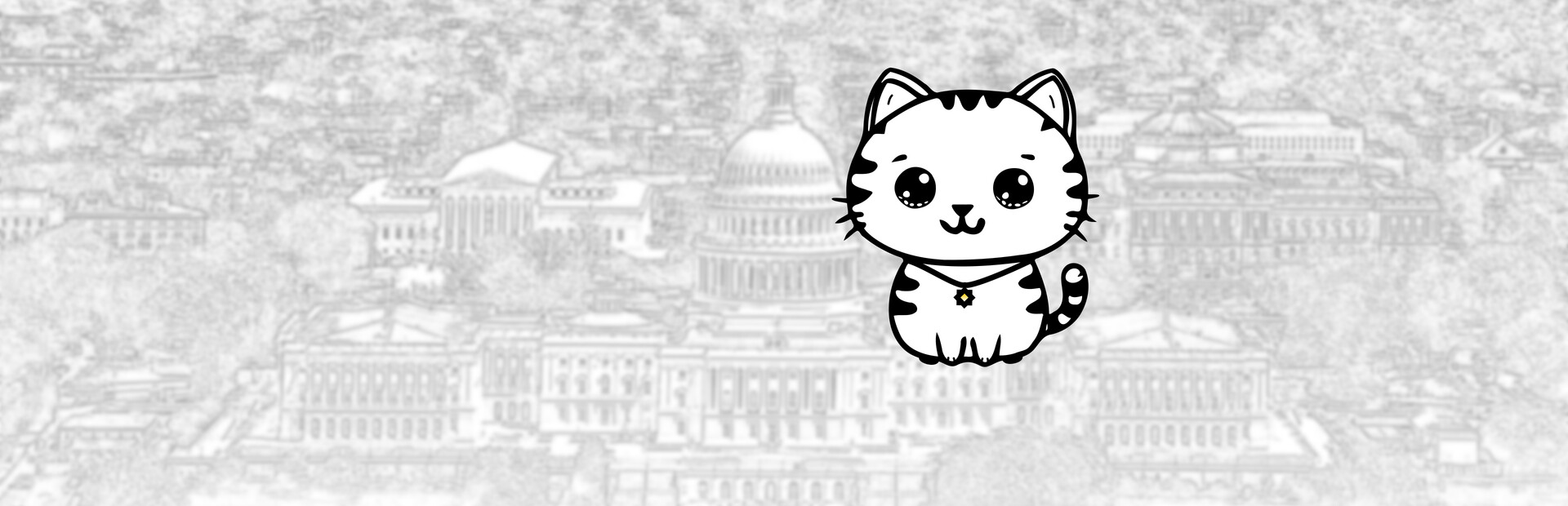 101 Cats: Washington