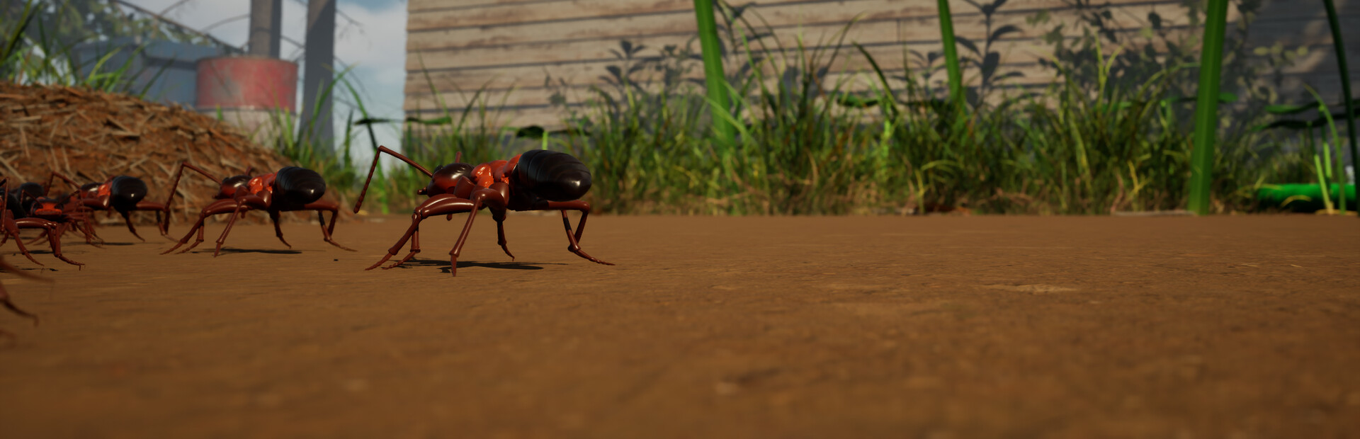 Ant Now?