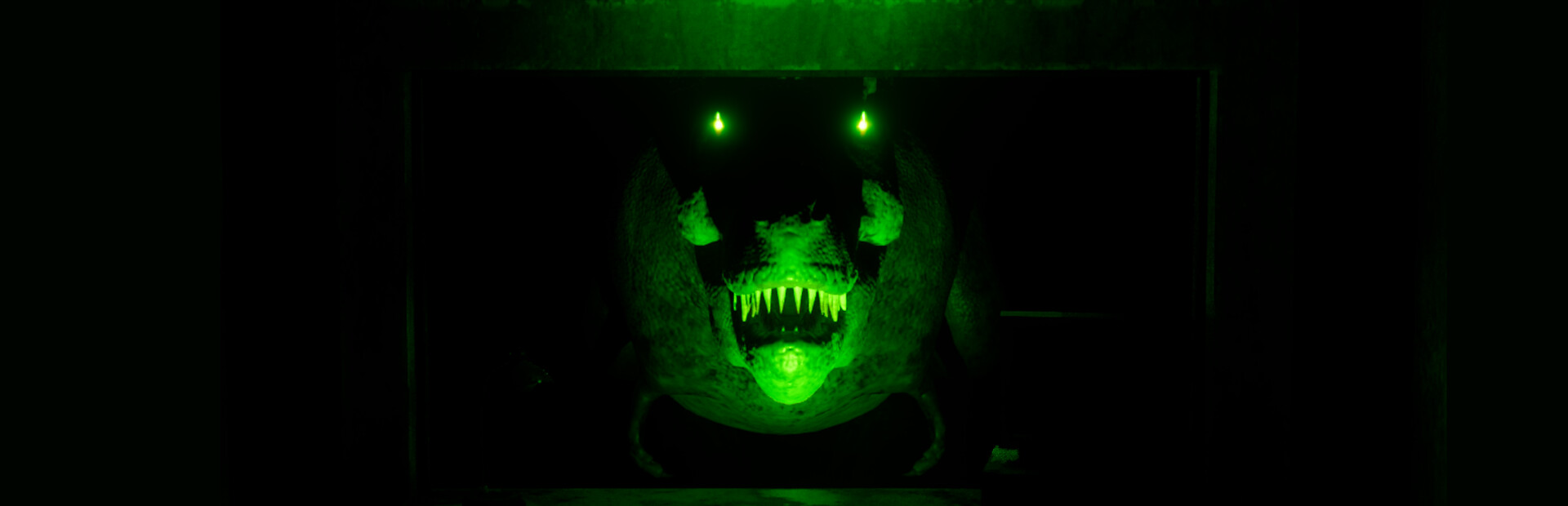 Primal Nights