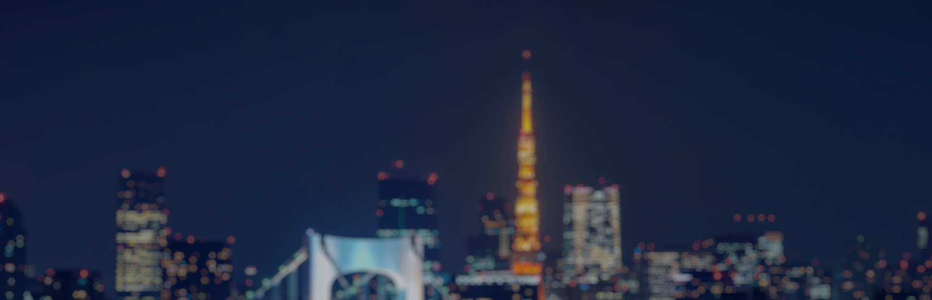 MY WIFE IS A PORN STAR: TOKYO