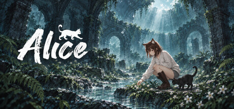 Alice: Defense