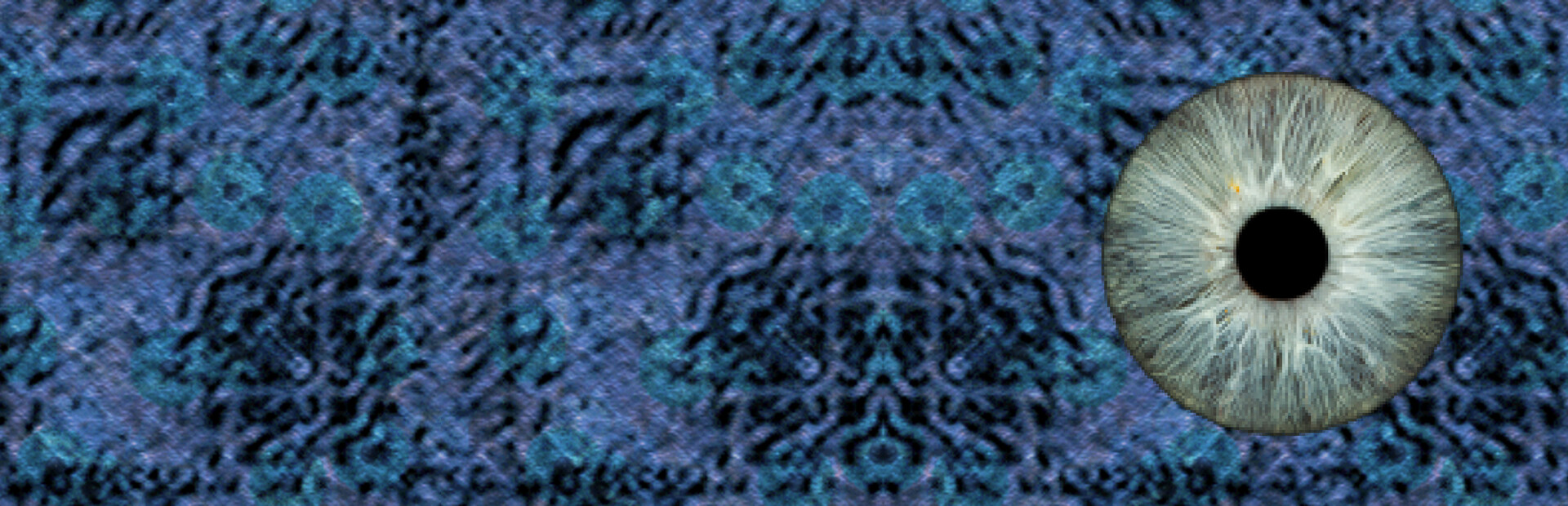 Life Warp