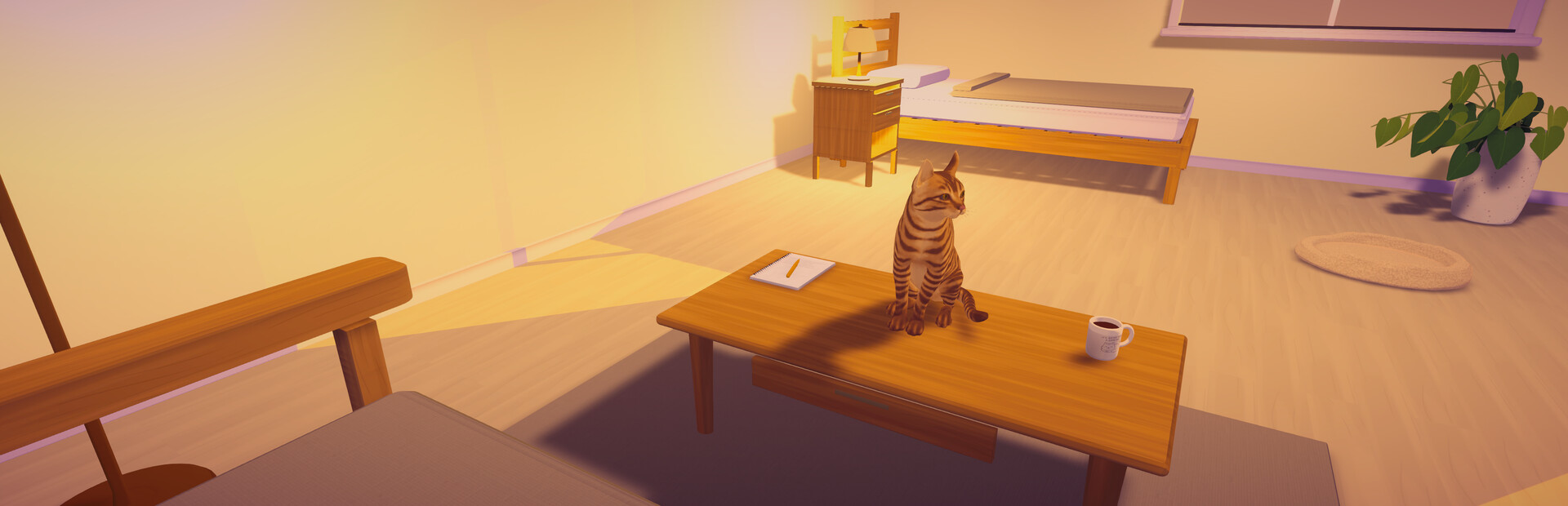 Cozy Cat Room: Focus Time with Your Cat