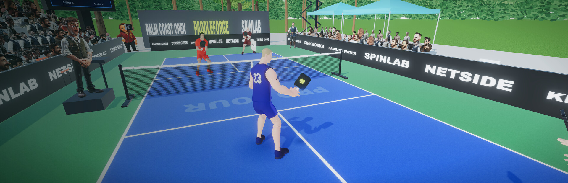 Pickleball Pro
