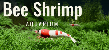 Bee Shrimp Aquarium