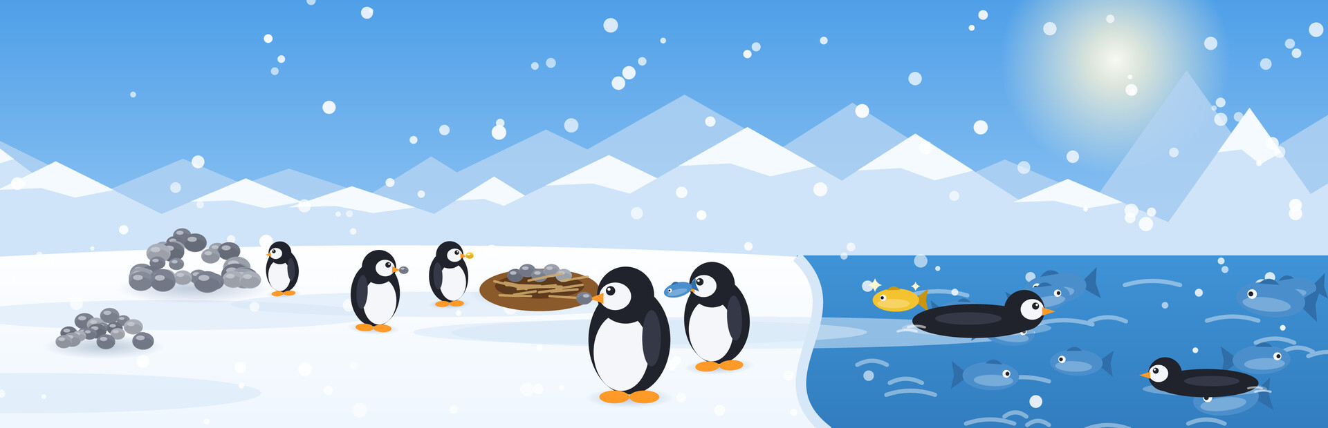 Penguin Colony