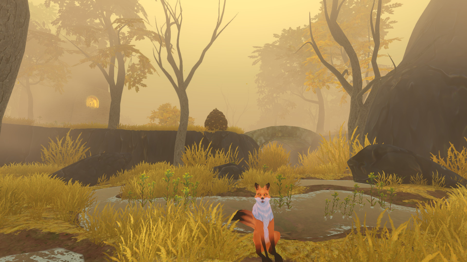 The Wild Eternal screenshot 3