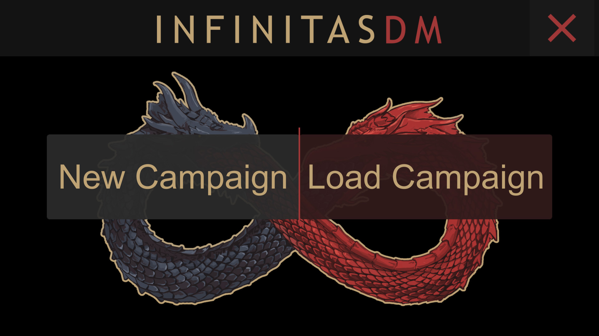 InfinitasDM screenshot 1