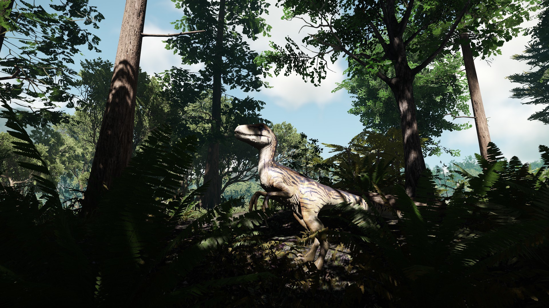 Collision Course screenshot 19