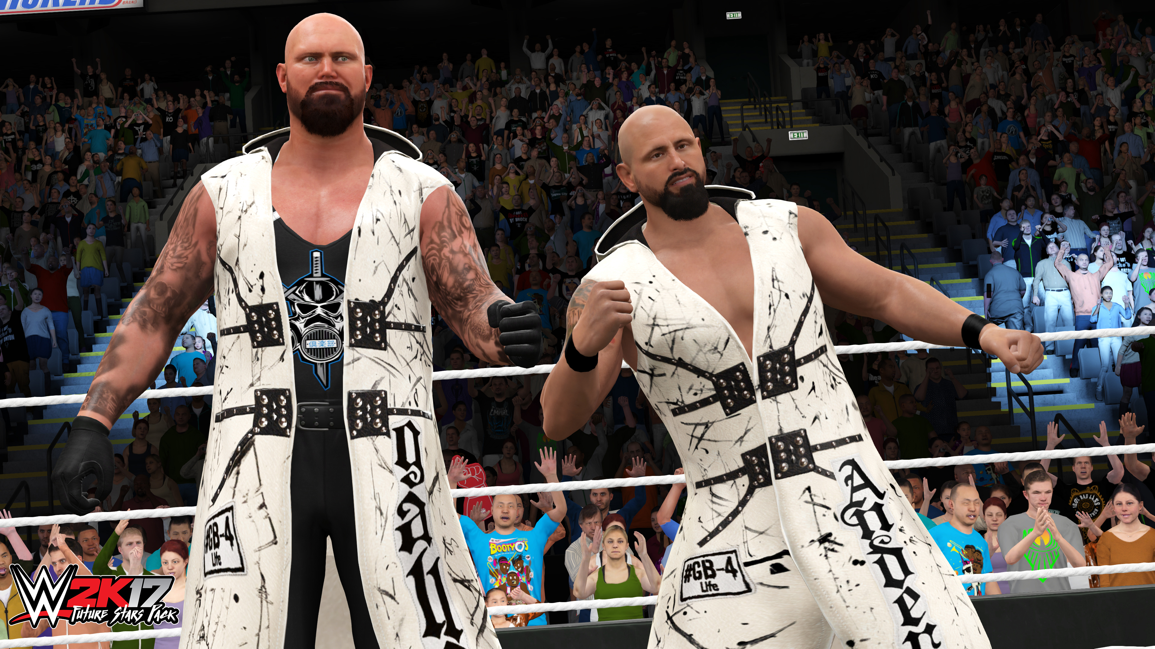 WWE 2K17 - Future Stars Pack screenshot 3