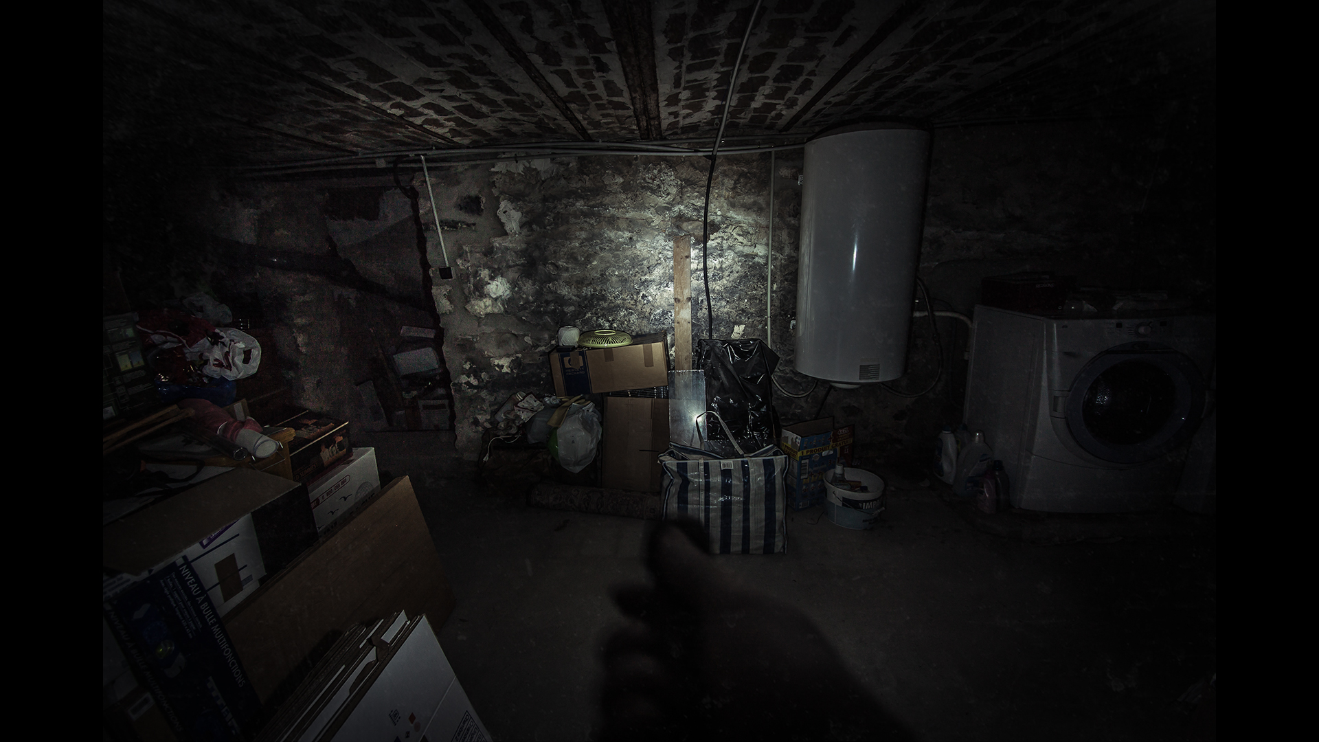 The Fan screenshot 3