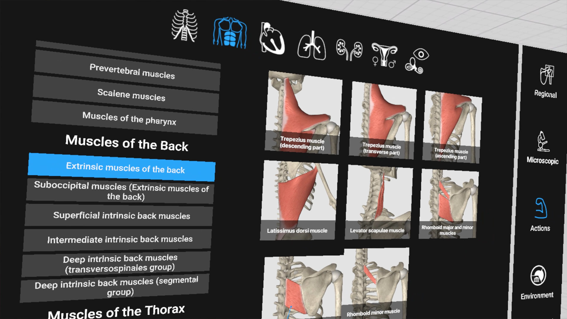 Everyday Anatomy VR screenshot 4