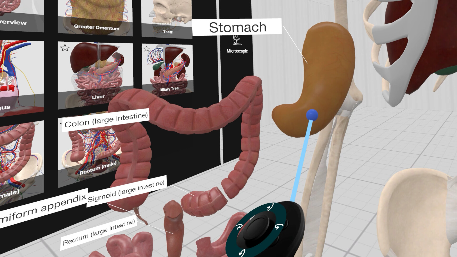 Everyday Anatomy VR screenshot 6