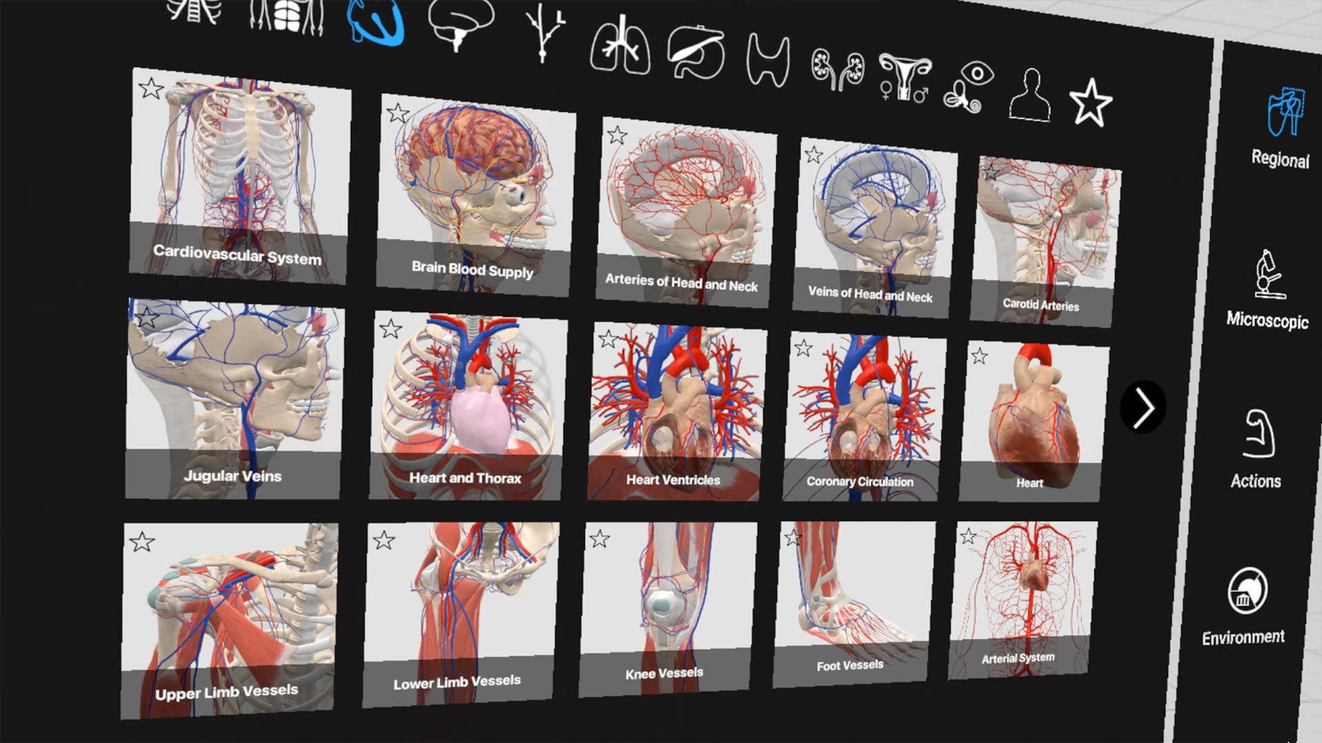 Everyday Anatomy VR screenshot 3