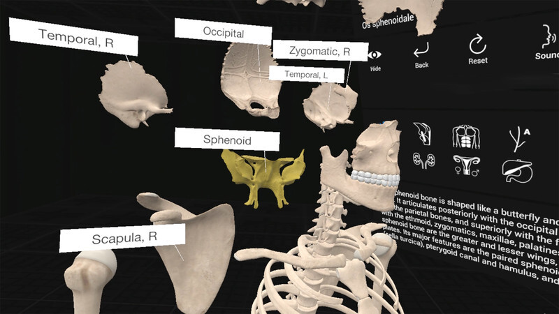 Everyday Anatomy VR screenshot 8