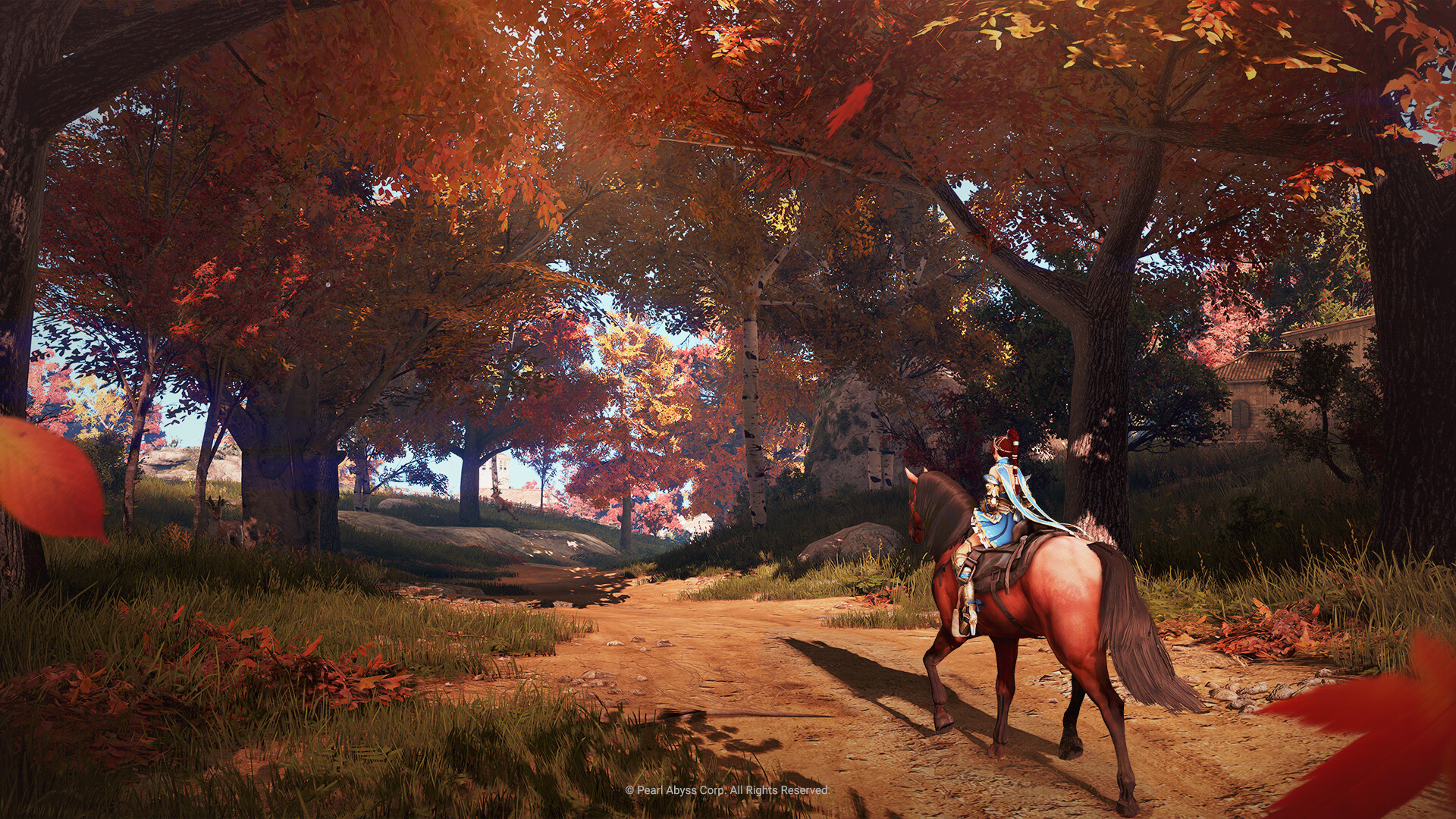 Black Desert screenshot 8