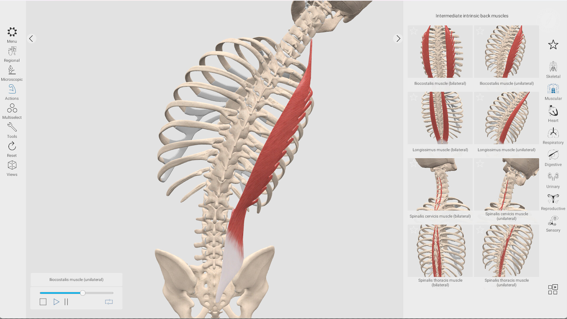 Everyday Anatomy screenshot 8