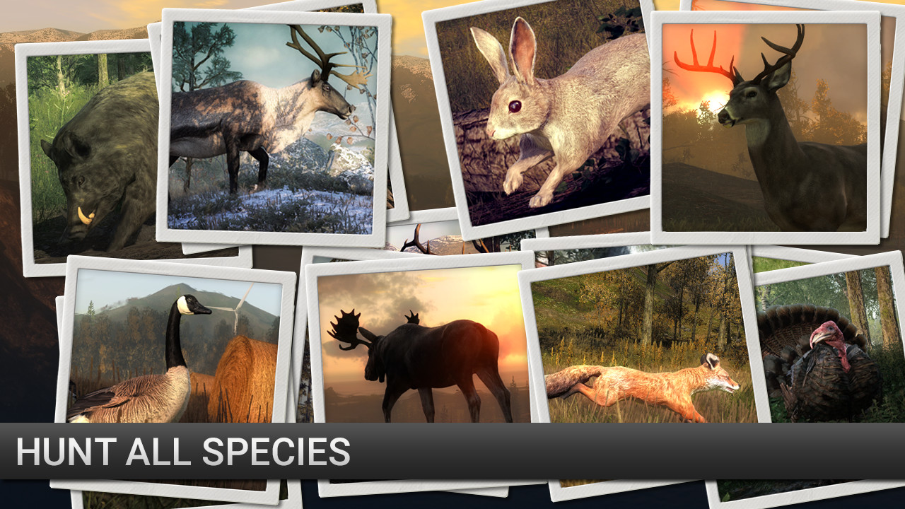 theHunter: Scent Hound Pack screenshot 4